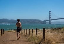 Runner nivel experto: crear obras de arte en cada entrenamiento Runner nivel experto crear obras de arte en cada entrenamiento