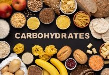 Qué Carbohidratos Debes Elegir: ¿De Absorción Lenta o Rápida?