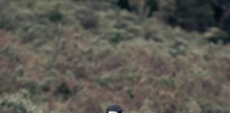 Lago Baroni logra el primer Doble Everesting Trail Running en la historia del Ecuador Lago Baroni
